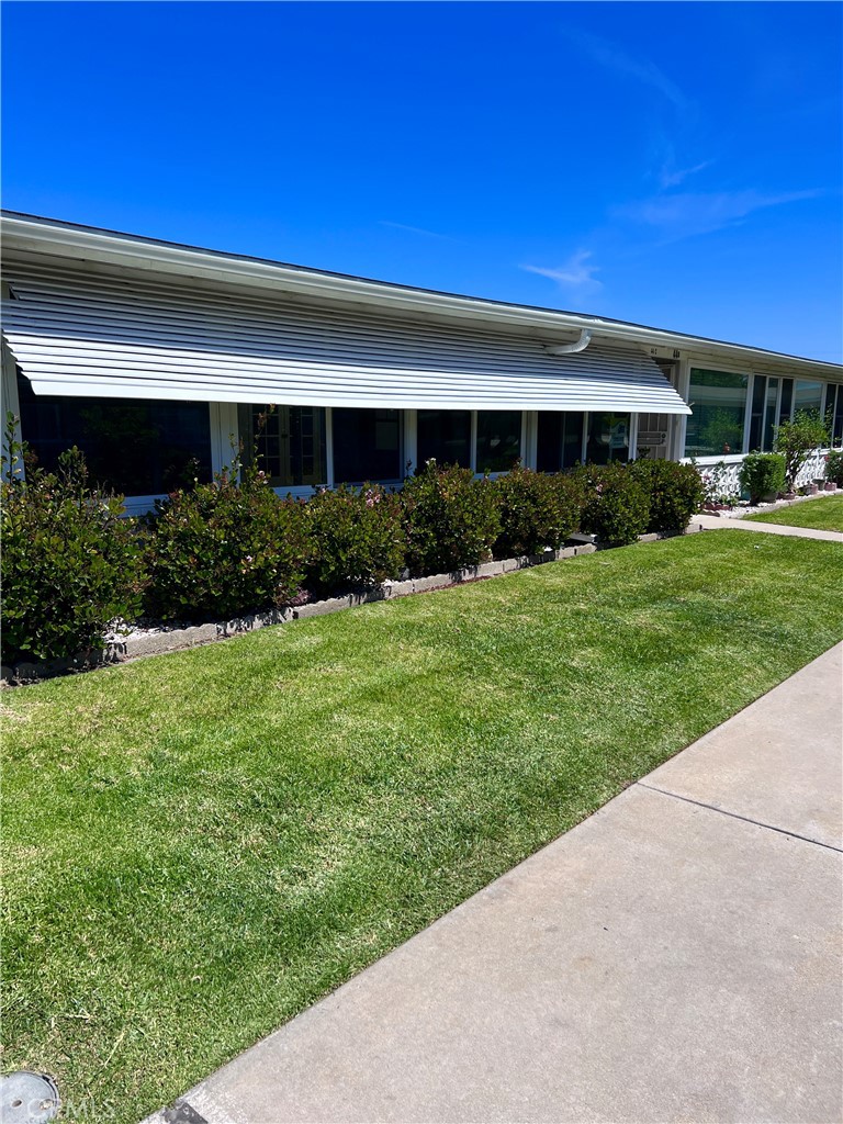 1562 Golden Rain 44C