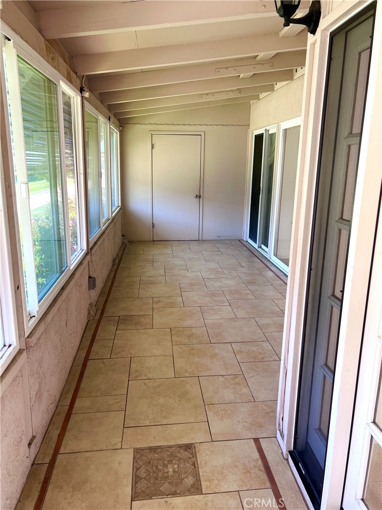 1562 Golden Rain 44C