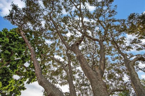 Tiny photo for 281 Glen Ellen Drive, Ventura, CA 93003 (MLS # V1-34534)