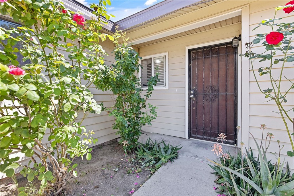 14291 Rosemary