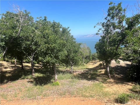 Photo of 3031 Westridge Drive, Kelseyville, CA 95451 (MLS # LC26208118)