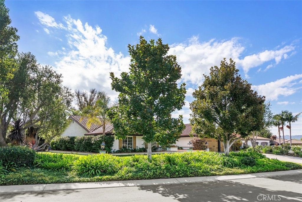 Nellie Gail (NG) - Residential