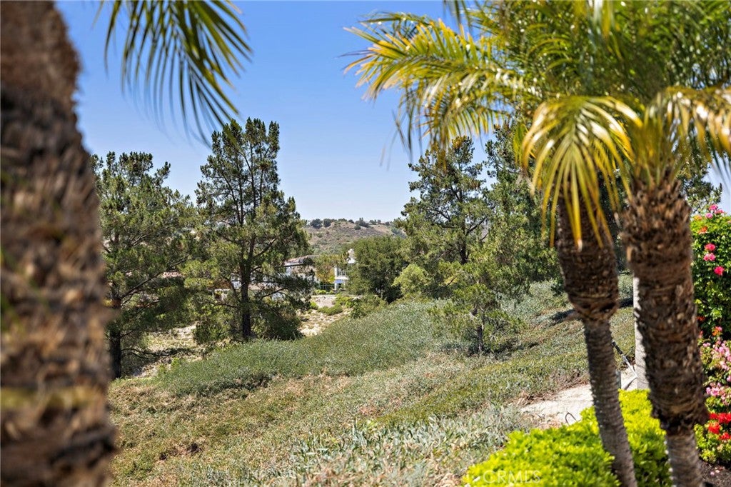 23 Harvard, Coto de Caza CA 92679 - Photo 27