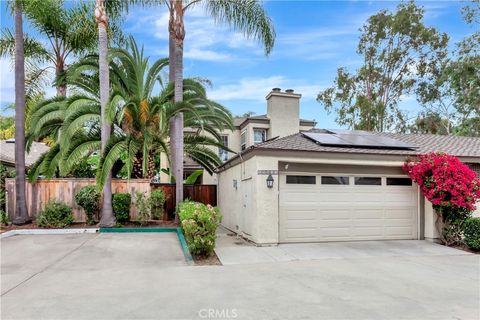 29533 Sea Horse Laguna Niguel CA 92677