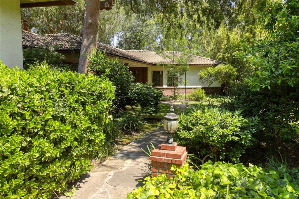 1075 Pine Oak Lane