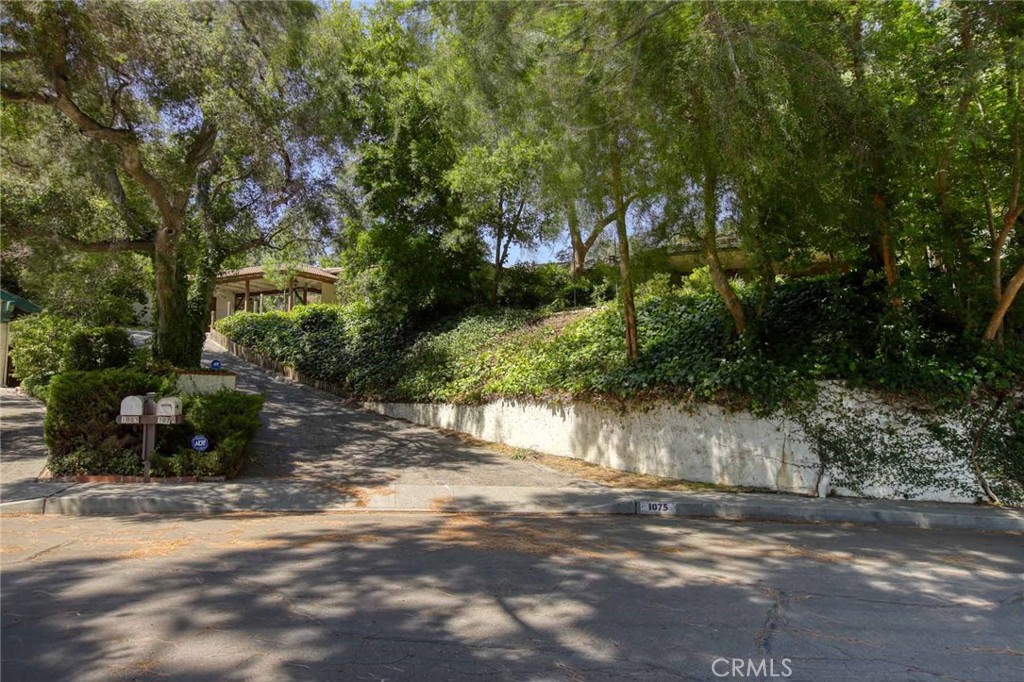 1075 Pine Oak Lane