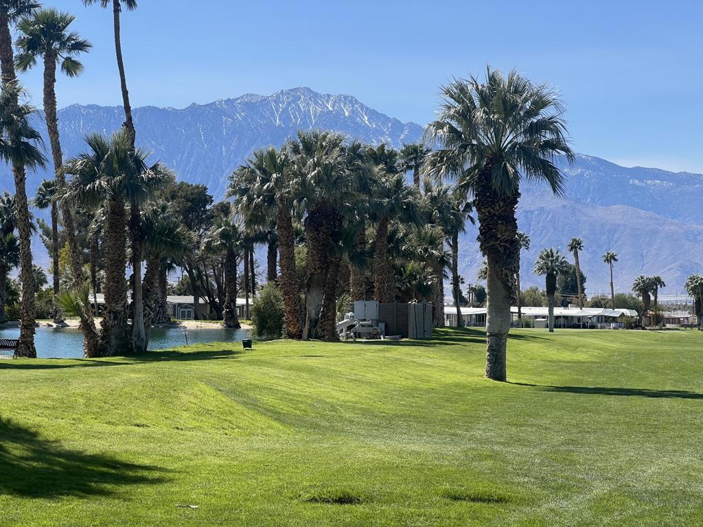 Hidden Springs - Manufactured In Park