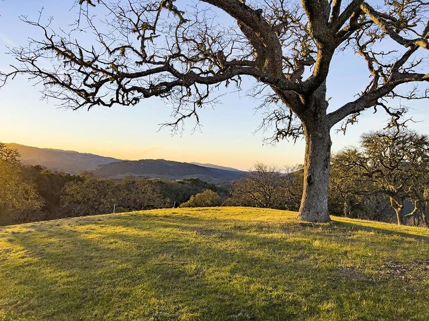 Spanning the knoll atop Vasquez Trail, this astounding 47.85 acre parcel enjoys 360 degree views encompassing Carmel & Monterey Bay, Penon Peak, Santa Lucia Mountains and the pastoral ranch lands of Carmel Valley. This site features a 2.88 acre building envelope, allows for guest house, caretaker cottage and part-time equestrian use. The property is Shovel Ready with permitted building plans from Monterey Co. The Contemporary Ranch style residence, designed by Richard Beard Architects, features a 5,045 s.f. residence with 3 bed/3.5 baths plus a 2 bed/2 bath ADU, a 970 s.f. barn and a pool perched atop the hillside with endless views. The architecture, landscape design and materials have artfully nestled the residence along the knoll allowing one to enjoy a grassland meadow, pond and beautiful oaks in the foreground, backdropped by breathtaking panoramic views from sunrise to sunset. Images of buildings are only renderings of the permitted plans included in the sale of the property.