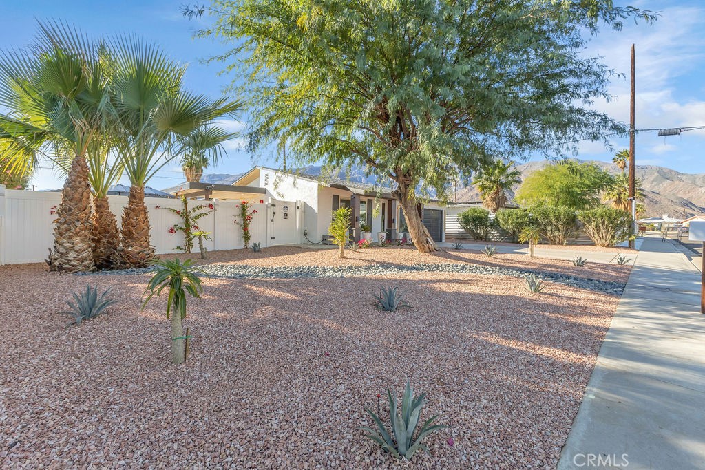 Tramview Heights - Residential