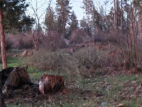 Photo of 14302 Skyway, Magalia, CA 95954 (MLS # SN26050666)