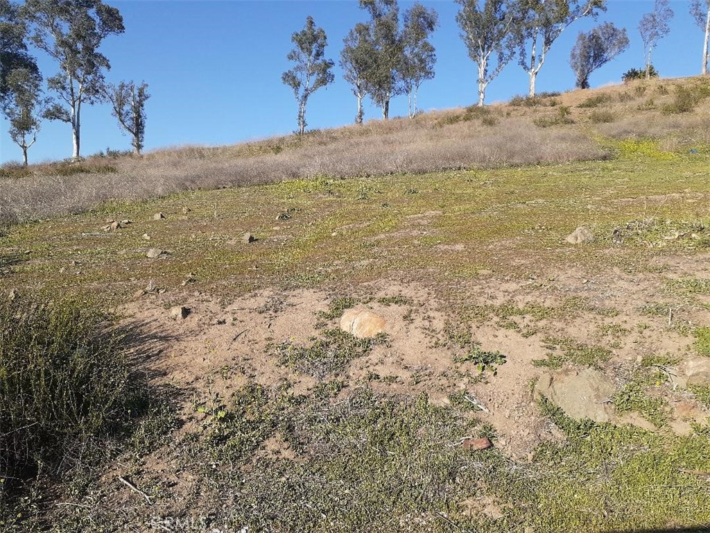This lot is located in the Country Club Heights area of Lake Elsinore and has a Beautiful view of the mountains and a peek-a -boo view of the lake. This lot is 50X80 and has had a positive perk test in the past with previous owner. Buyer and Buyers agent to verify ALL information with the City of Lake Elsinore and the respective governmental agency.