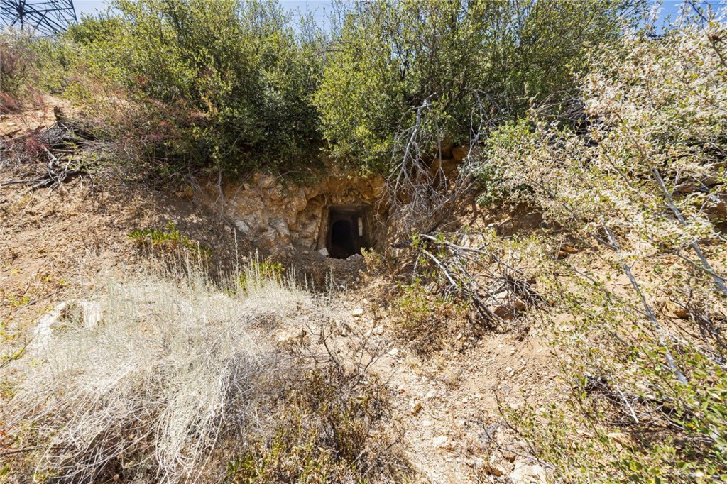 Custom Acton (CACTO) - Land