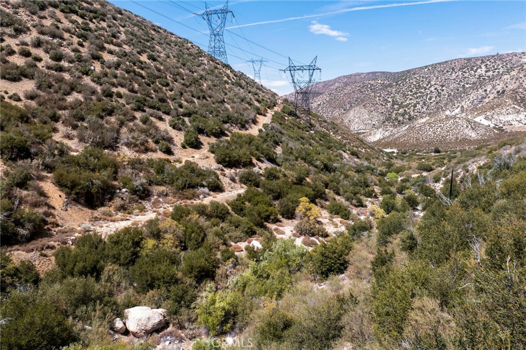 Custom Acton (CACTO) - Land