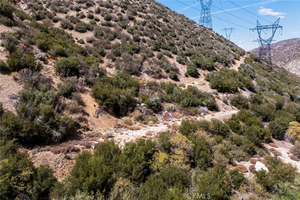 Custom Acton (CACTO) - Land