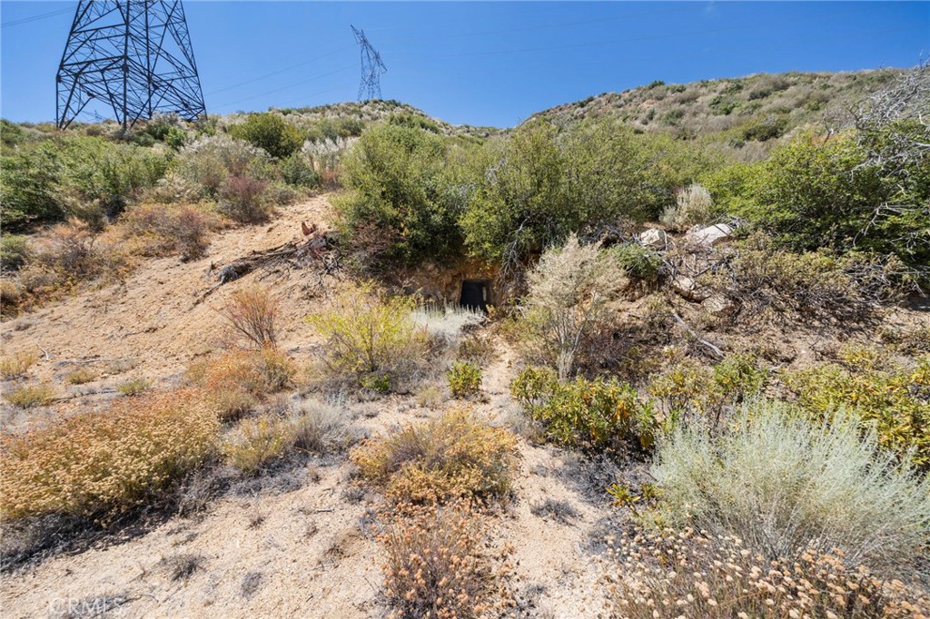 Custom Acton (CACTO) - Land