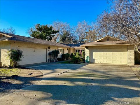 Photo of 1008 Meier Drive, Chico, CA 95926 (MLS # SN25273857)