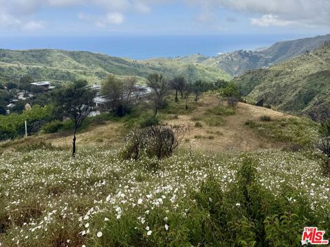 Photo of 62 Tuna Cayon Road, Topanga, CA 90290 (MLS # 26791521)