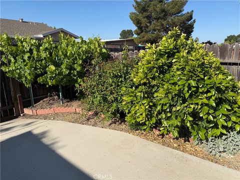 Tiny photo for 1032 Scott St, Paso Robles, CA 93446 (MLS # NS26092018)