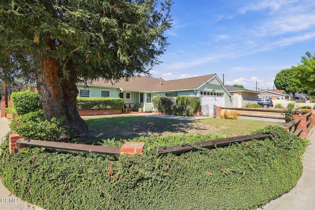 3899 Maple Street