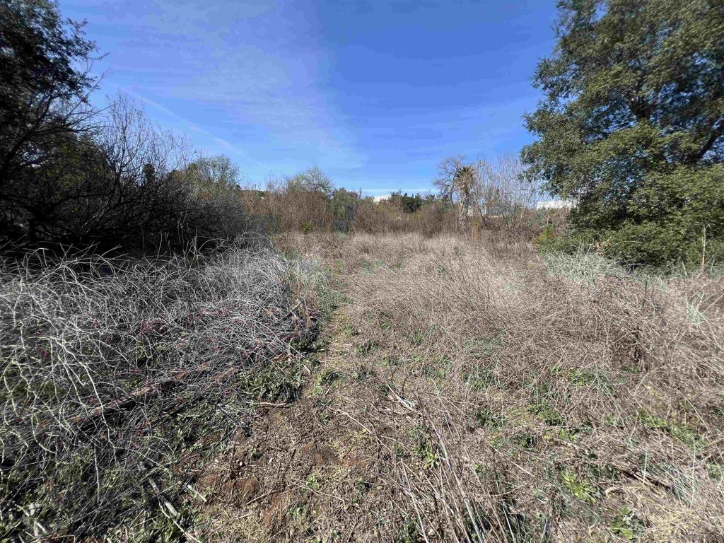 South Escondido - Land