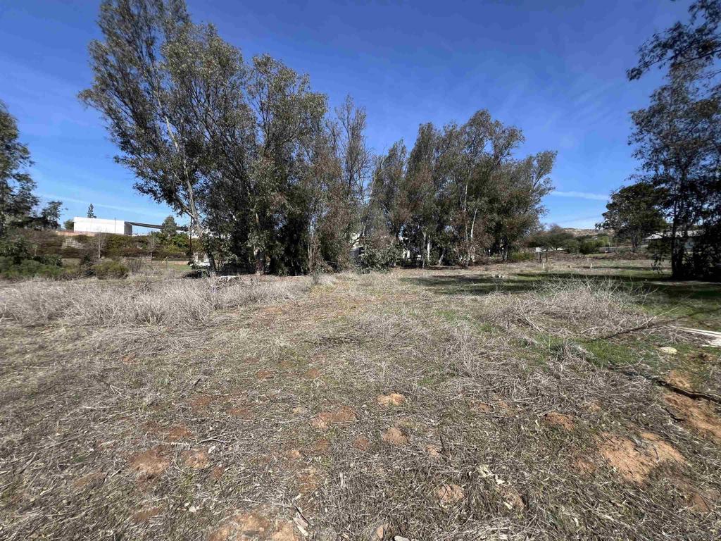 South Escondido - Land