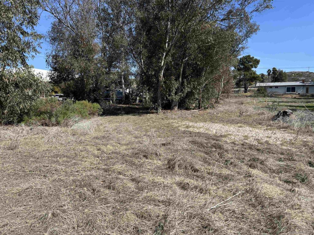 South Escondido - Land