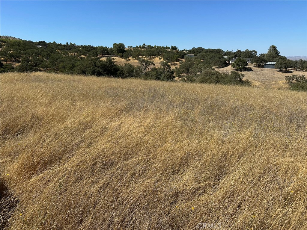 3 acre west side parcel is located close to town. Well is cased and capped. Land is a combination of flat and sloped with a glassy flat area on top with oak trees on the sloped area. The top of the parcel has great views.