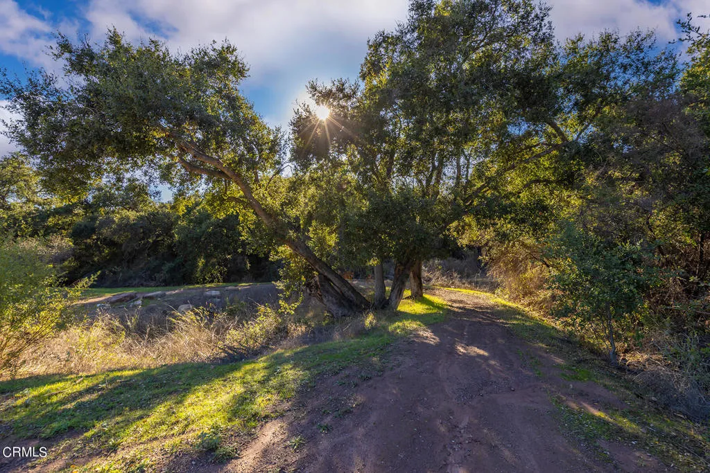 Ojai, California 93023, United States, ,Land,Active,146098