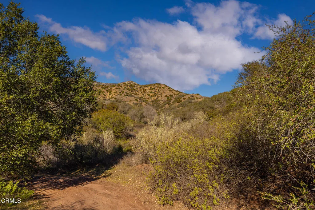 Ojai, California 93023, United States, ,Land,Active,146098