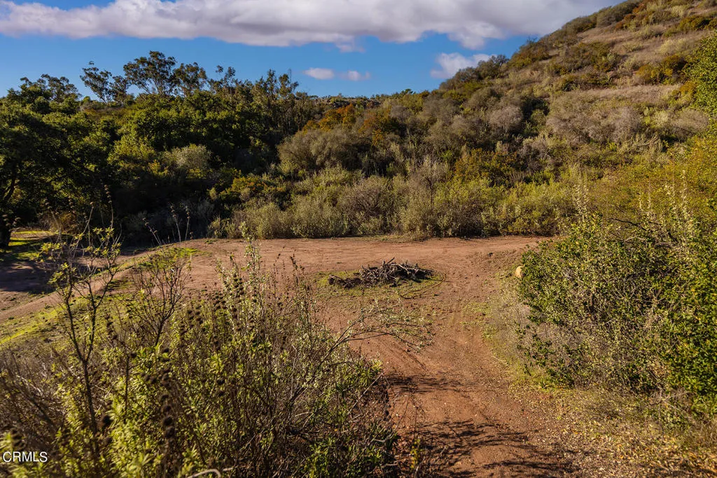 Ojai, California 93023, United States, ,Land,Active,146098