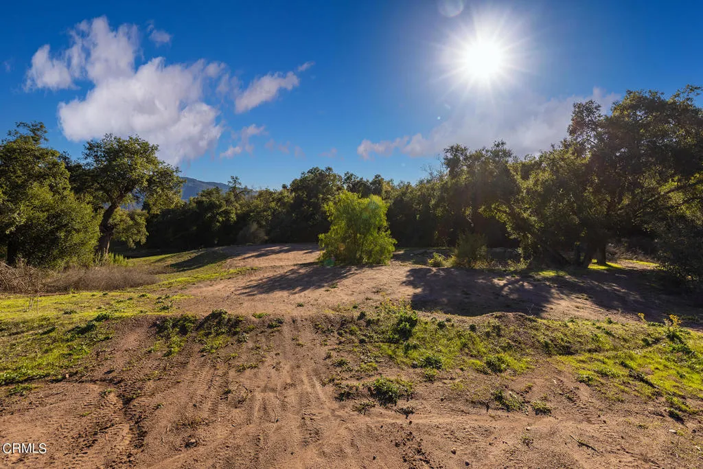 Ojai, California 93023, United States, ,Land,Active,146098