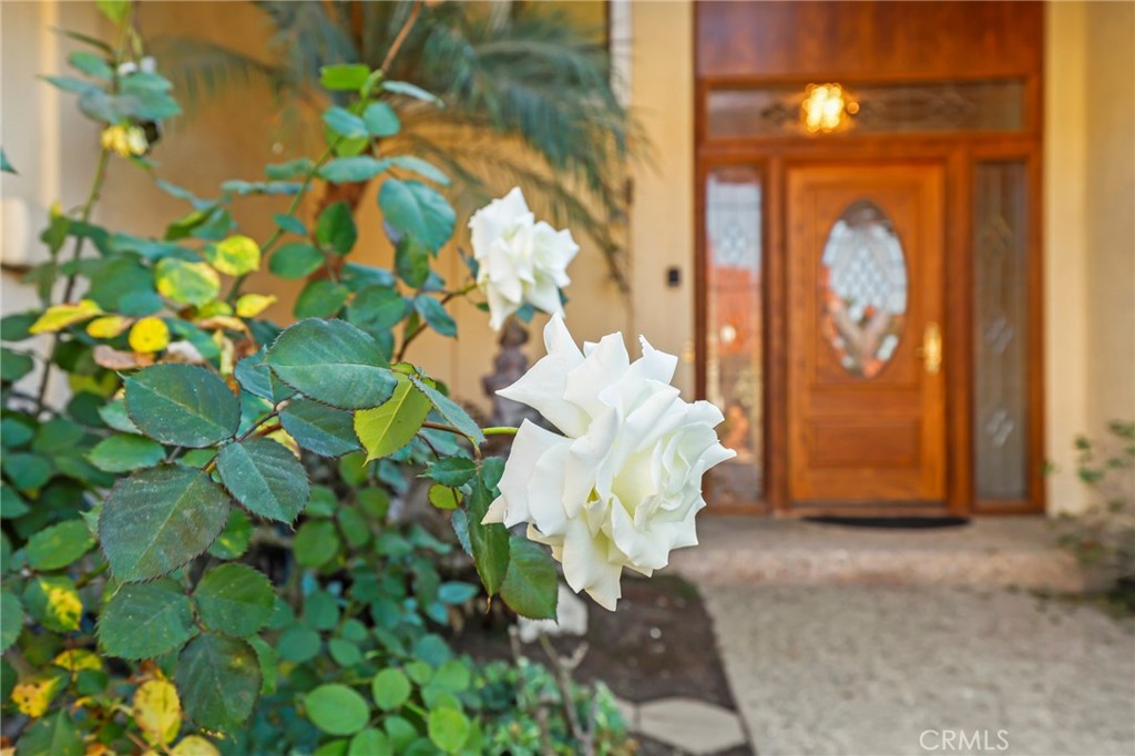 4310 Cartesian Circle