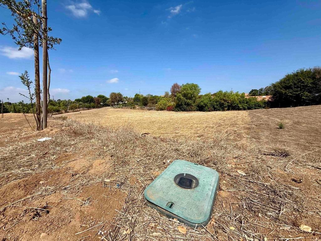 1916 Grey Rabbit Hollow Lane