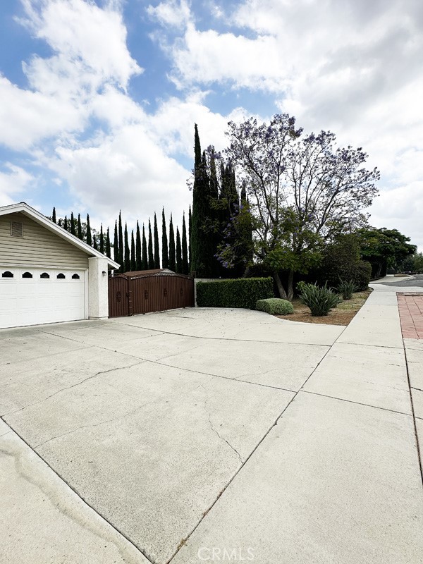 15503 Tern Street