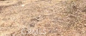 Photo of 0 Trinity lot 343, Lake Arrowhead, CA 92352 (MLS # OC26193940)