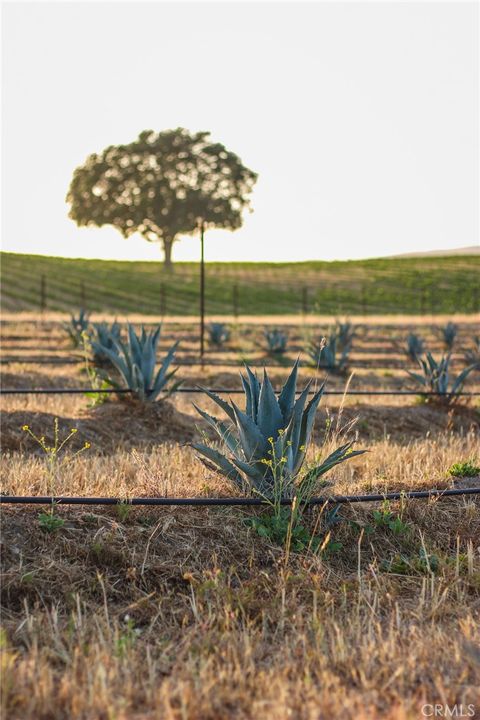 Tiny photo for 2980 Pleasant Rd Rd, San Miguel, CA 93451 (MLS # SC26044886)