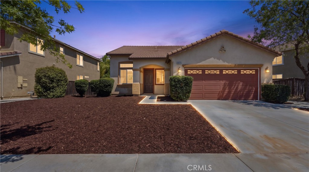 33675 Carnation