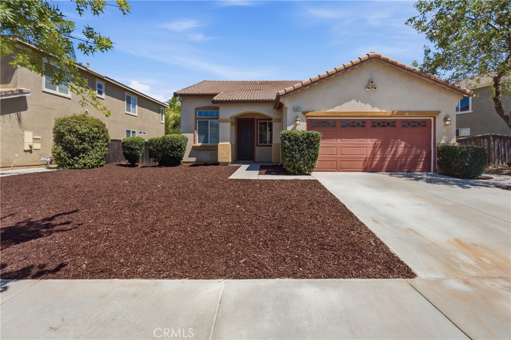 33675 Carnation