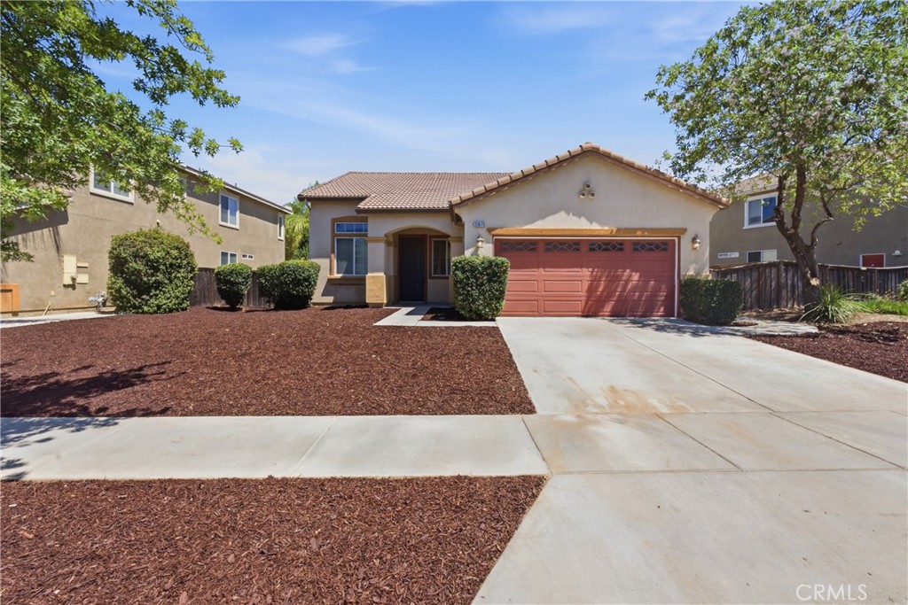 33675 Carnation