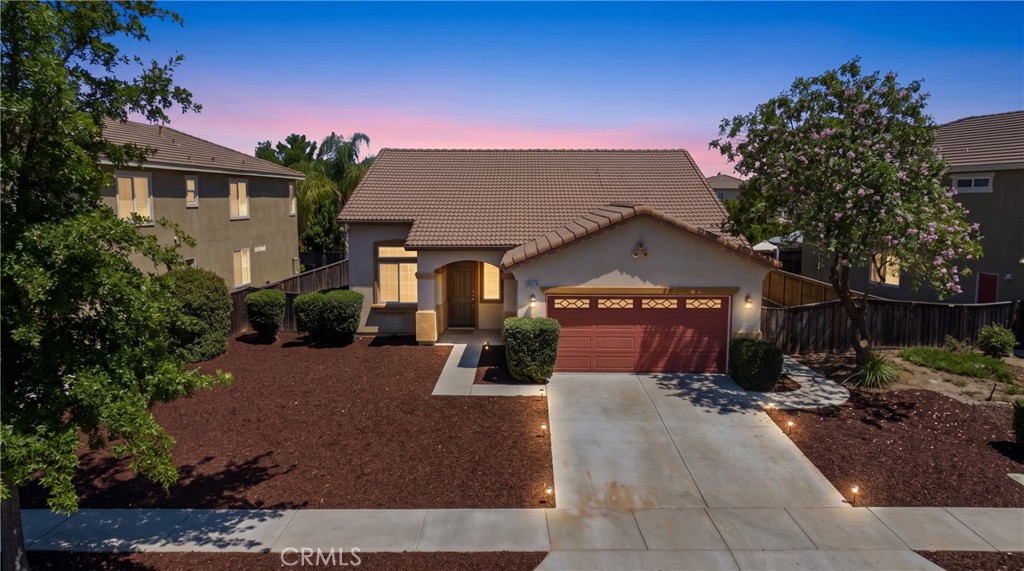 33675 Carnation