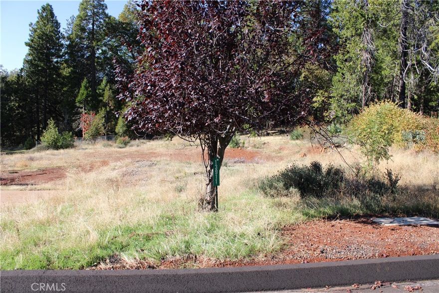 Beautiful Lot Located in a quiet Cul de Sac with views and space! Property has been prepped for building, including survey and septic inspection. Property backs up to open space with hiking and trails beyond. This is the perfect place to build your forever home. Conveniently located close to shopping in Magalia and just minutes to Paradise. You will also have access the POA amenities including the swimming pool, club house, tennis and pickleball courts plus more.  Check out this great piece of land in a most peaceful setting, ready for your building project! Property next door is additionally for sale if one wants more space and privacy.