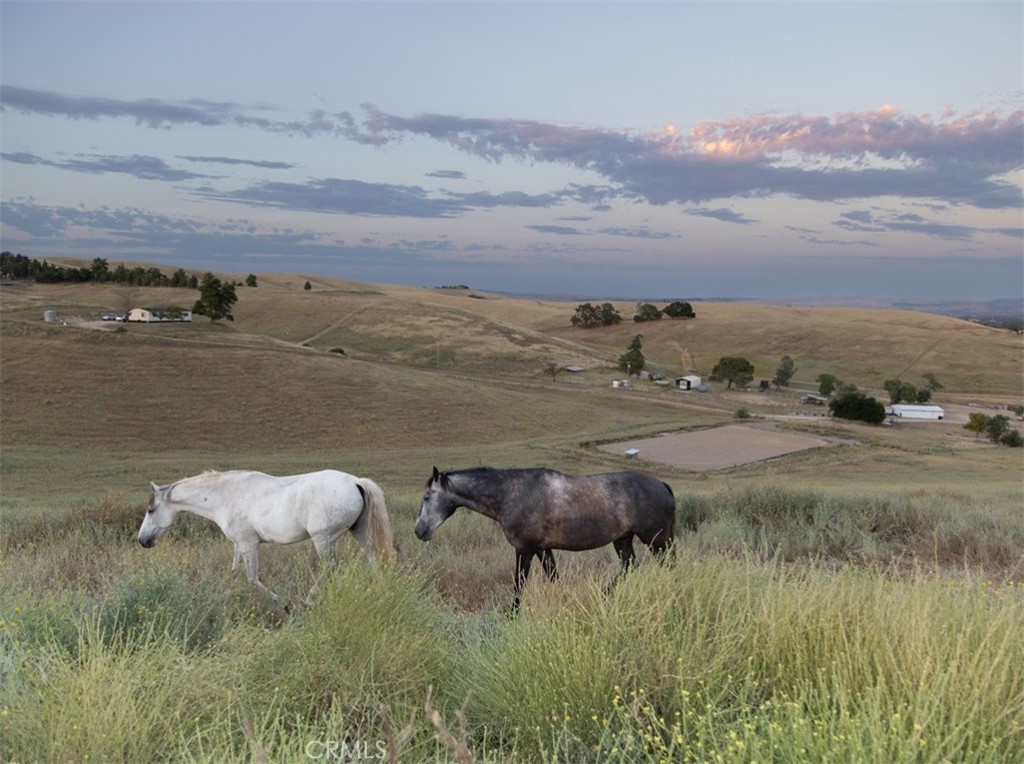 This panoramic 40±acre ranch offers the best of all worlds…income-producing potential, equestrian amenities, room for the whole family, and serene country living. Equestrian-ready with a 4-stall mare motel, barn with tack room, feed and small animal space, pipe fencing, and cross-fenced pastures plus open land for grazing, gardening, or a hobby farm. The property offers end-of-the-road privacy and plenty of room to roam and unwind.
A tree-lined drive leads to the private hilltop main residence, fully fenced with an electric gate and surrounded by 360° views. Enjoy your cup of coffee in the morning while watching the sunrise and end your day with a glass of local wine as the sun sets. It’s the perfect retreat! The ranch includes three residences and a studio apartment, making it ideal for multi-generational living or a source of rental income. The main home is a single-level 2Bed/2.5Bath with a spacious garage/shop featuring 3-phase/220 power - perfect for a hobbyist, craftsman, or additional storage. A private 3Bed/2Bath guest house with attached 2-car garage sits just off the gated main drive, while another 3Bed/2Bath home is around the corner and offers its own entrance and a private peaceful setting. Located just a short drive from Highway 101 or simply stay on Highway 41 for a scenic drive straight to the coast. This ranch offers easy access to downtown Templeton, Atascadero, and Paso Robles. You'll enjoy proximity to award-winning wineries and restaurants, equestrian events, live music, farmers markets, and a vibrant community of locals who love the Central Coast Lifestyle. Bring your horses and the whole crew, this turnkey ranch delivers everything you need for riding, ranching, and revenue with all the charm and function of California country living.