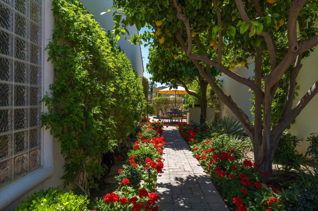 The Citrus - Residential Lease