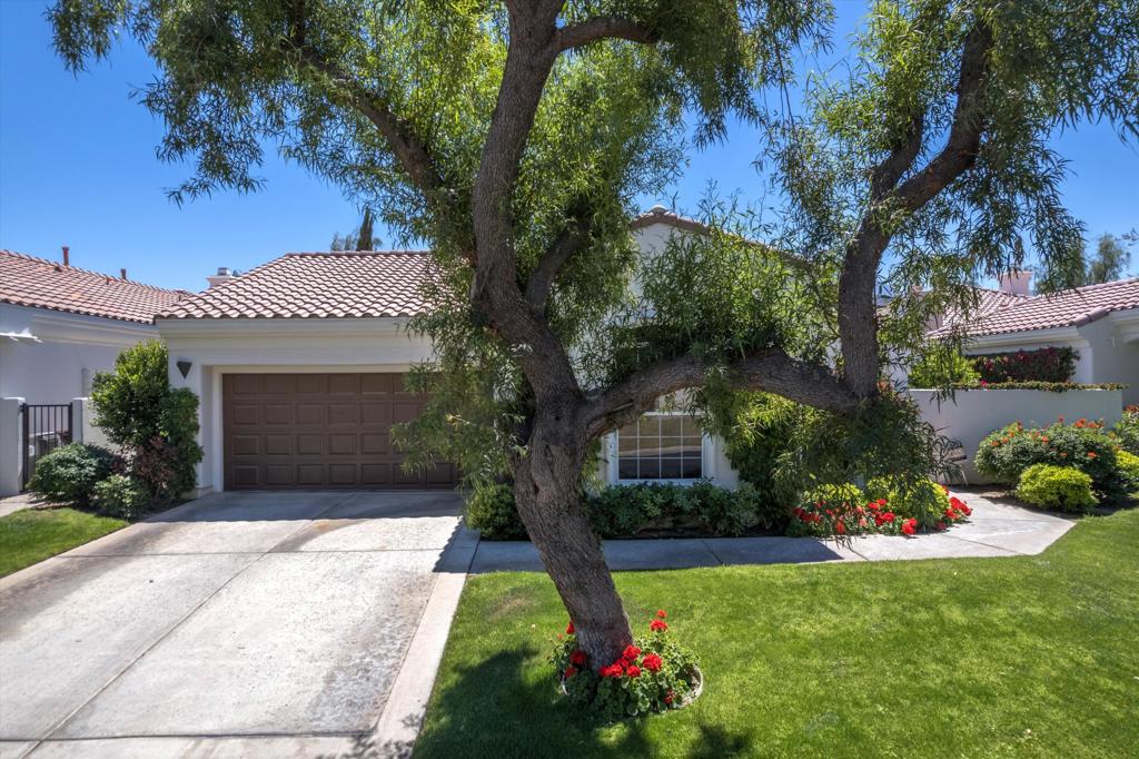 The Citrus - Residential Lease