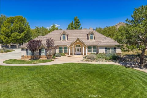 Photo of 33202 Drill Road, Agua Dulce, CA 91390 (MLS # SR26100139)