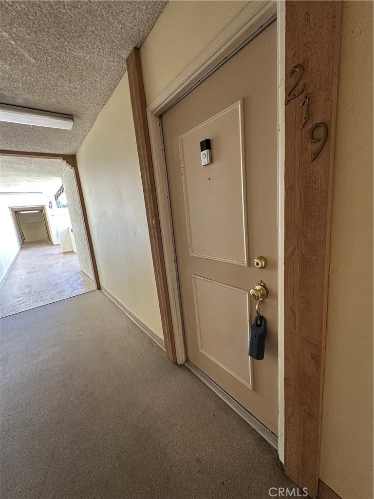 23515 Lyons 219