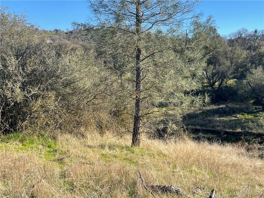 1.24 acres located in beautiful Yosemite Lakes Park.  Property is  located near park and stables with easy access to the parkway.  Land has some nice rock outcroppings and trees. Rolling terrain. Let this lot be the perfect place to build your dream home. Yosemite Lakes Park includes a golf course,pool, park, stables, hiking trails, club house, 2 restaurants and more.