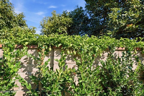 Tiny photo for 280 Cummings Road, Santa Paula, CA 93060 (MLS # 226004026)