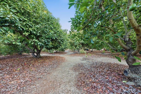 Tiny photo for 280 Cummings Road, Santa Paula, CA 93060 (MLS # 226004026)