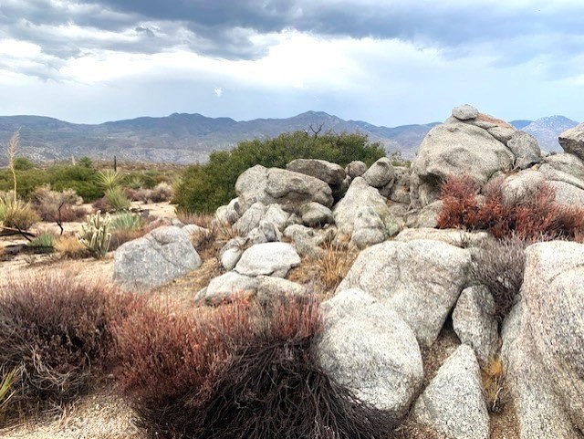 Gorgeous Views of the majestic Santa Rosa Mountain Range and the San Jacinto's from your 1 acre mostly flat parcel ~ Nature scape at it's best with beautiful native vegetation and a stunning rock outcropping at the very north edge of the parcel ~ Alpine Village is 25 minutes down the scenic Palms to Pines Highway to Palm Desert ~ 45 minutes up the scenic highway to the famous mountain community of Idyllwild ~ About an hour to Temecula's exquisite wine country ~ Approximately 2 hours to San Diego and Los Angeles ~ This area is famous for outdoor activities just right right out your "door," including hiking, mountain biking, horseback riding and many more outdoor activities to those with an adventuresome spirit ~ This parcel will need a well, septic system and power brought onto the property before you are able to reside ~ Buyer'/ Buyer's agent to do their own due diligence with the County of Riverside in order to determine what permit's are needed to build or bring on a manufactured home ~ One of the last great areas in So Cal to enjoy such a variety of wildlife, nature and spectacular night sky viewing ~ This a a wonderful spot on our great Earth to chose to build your dream home and reside ~ May need higher profile vehicle to access ~ Please follow Listing Agents directions, not GPS ~